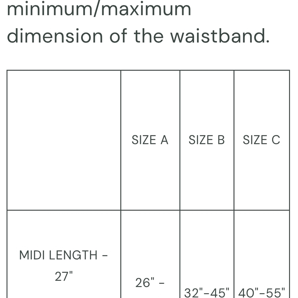 Navy Cicada Symphony Midi Skirt - Picture 7 of 8